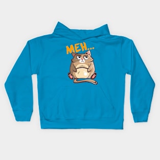 kawaii meh cat Kids Hoodie